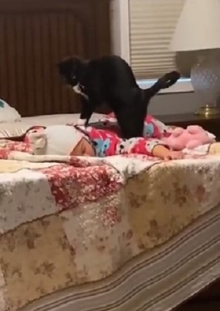 pisica-neagra-ce-îi-face-masaj-pe-spate-unui-bebelus-ce-sta-pe-burtica-pe-un-pat