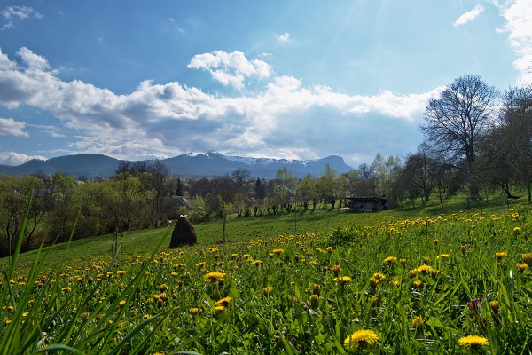 peisaj cu pajiste si cu capite in satul Breb, judetul Maramures