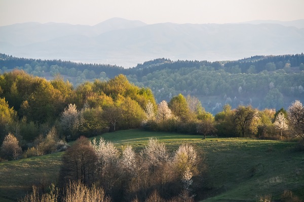peisaj rural din Rosia, judetul Bihor