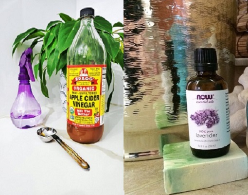 sticla de otet de mere, lingurita, recipient tip spray, planta si sticluta cu ulei esential de lavanda