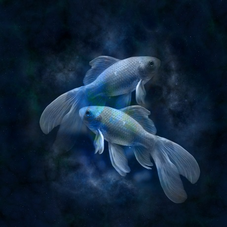 reprezentare a zodiei Pesti in nuante de albastru