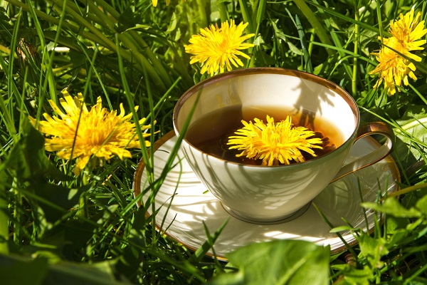 cana cu ceai de flori de papadie si flori de papadie in iarba