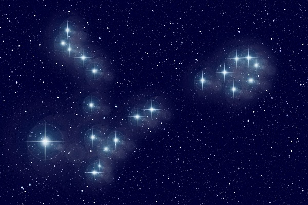 reprezentare zodia Pesti sub forma de constelatie