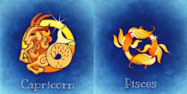 reprezentare a zodiei Capricorn si a zodiei Pesti, sub forma de ilustratie pe fond albastru