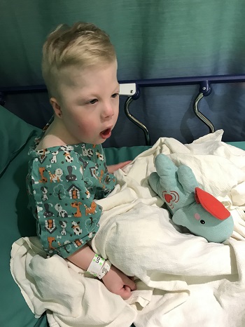 baietel bolnav, aflat pe patul de spital, cu un elefant de plus alaturi