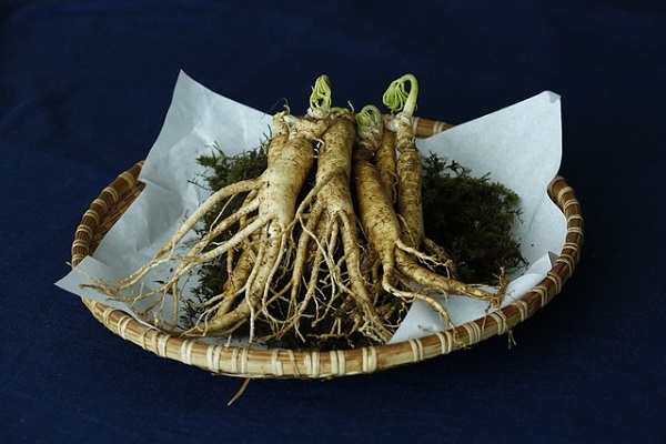 ginseng proaspat pus pe un platou