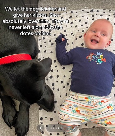 caine negru care se joaca cu un bebelus zambitor
