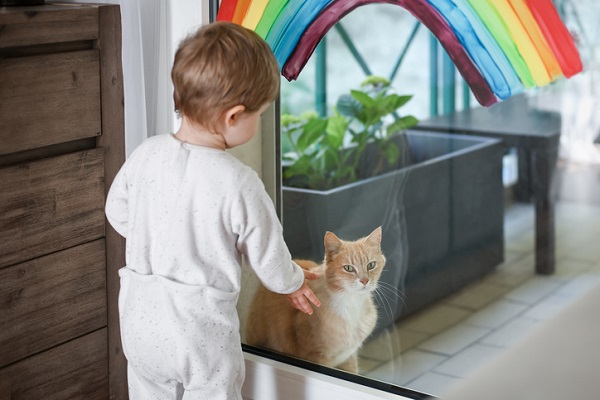 copil care vrea sa ajunga la pisica izolata in spatele unui geam pe care se afla pictat un curcubeu