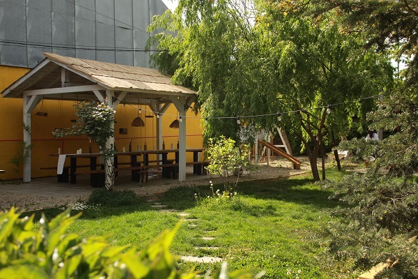 imagine din curtea si gradina The Yellow House