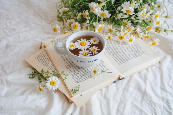 cana cu ceai de musetel, in care se afla flori proaspete de musetel, pusa pe o carte asezata pe un cearceaf alb, pe care se afla un buchet de musetel proaspat