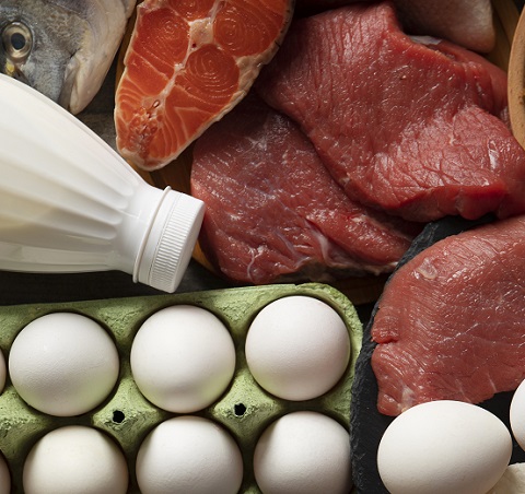 vedere de sus diverse alimente ce sunt surse de proteine de origine animala, carne rosie, somon, peste intreg, oua si un produs lactat in sticla alba de plastic