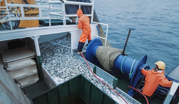 persoane imbracate cu salopete portocalii, una dintre ele avand gluga pe cap si cealalta casca de protectie, in timp ce lucreaza pe puntea unui vas de pescuit si se ocupa de o captura de peste