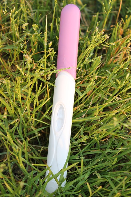 test-de-sarcina-roz-pe-iarba