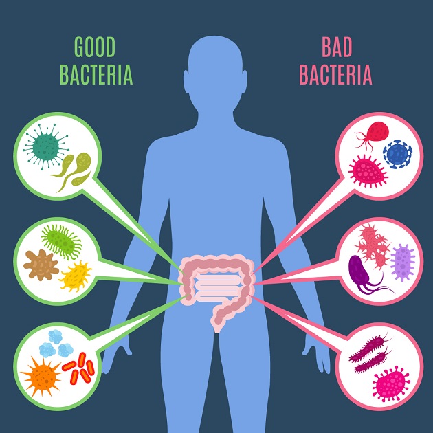 microbiomul