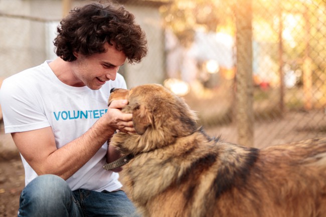 voluntar care mangaie un caine