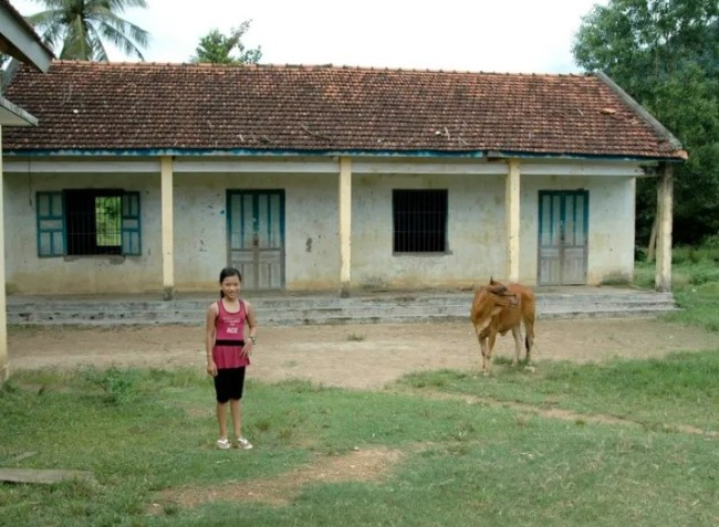ha in vietnam