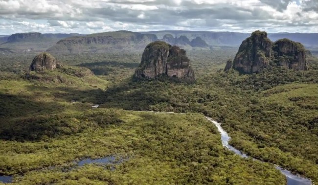 jungla din columbia