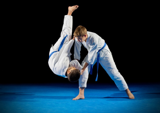 doi copii facand judo