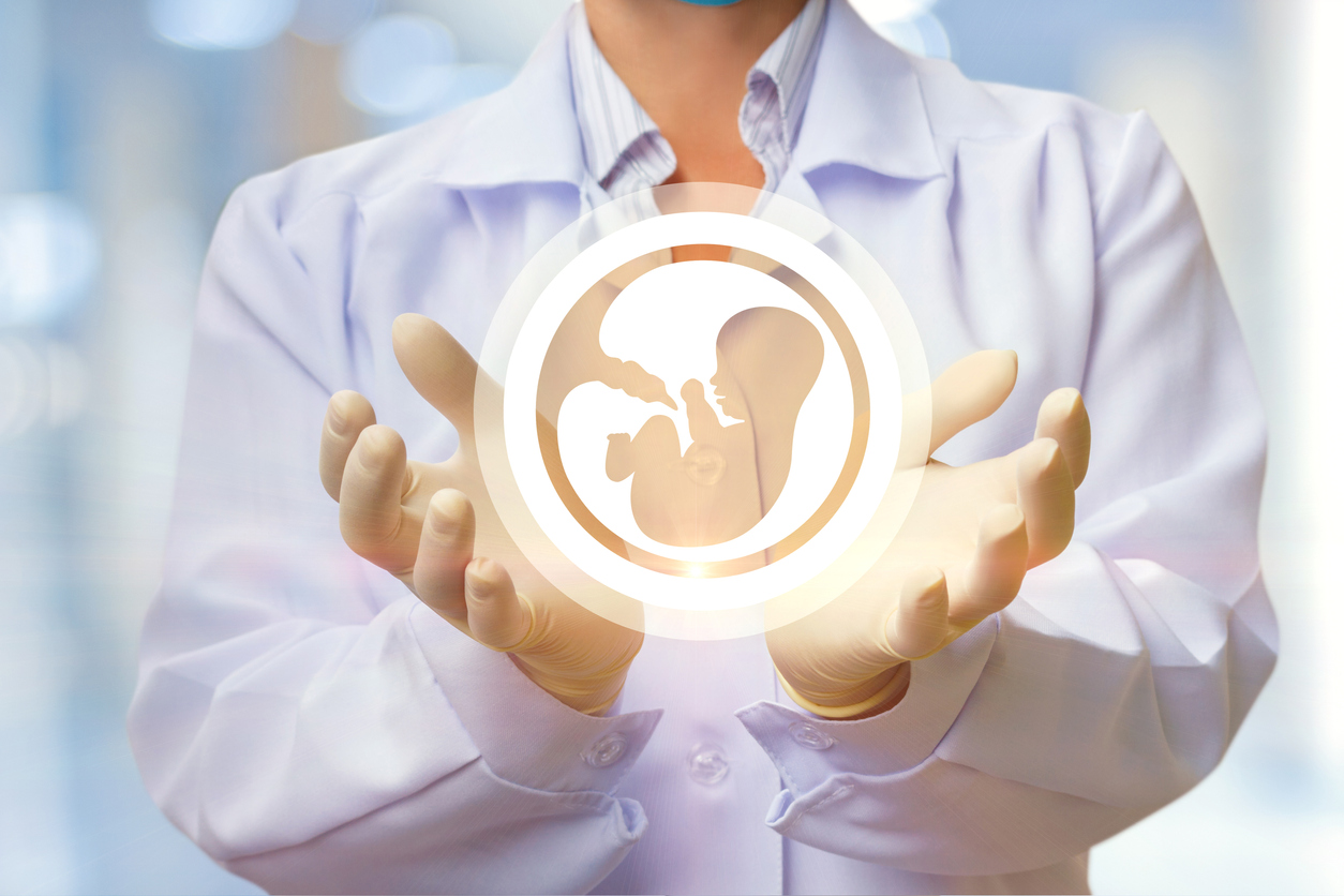 doctor cu embrion dezvoltat in maini