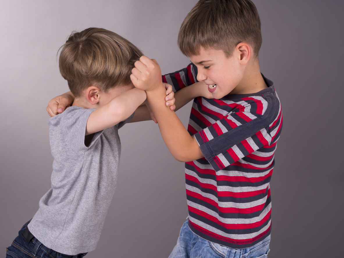 bataia intre frati si bullyingul