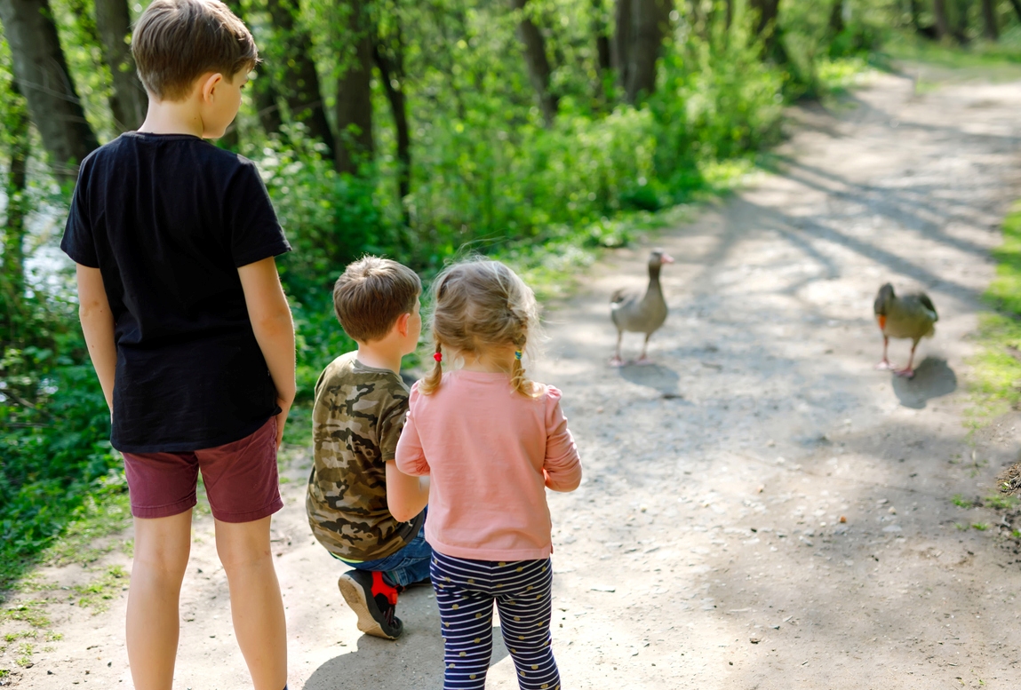 trei copii in parc uitandu-se la doua rate