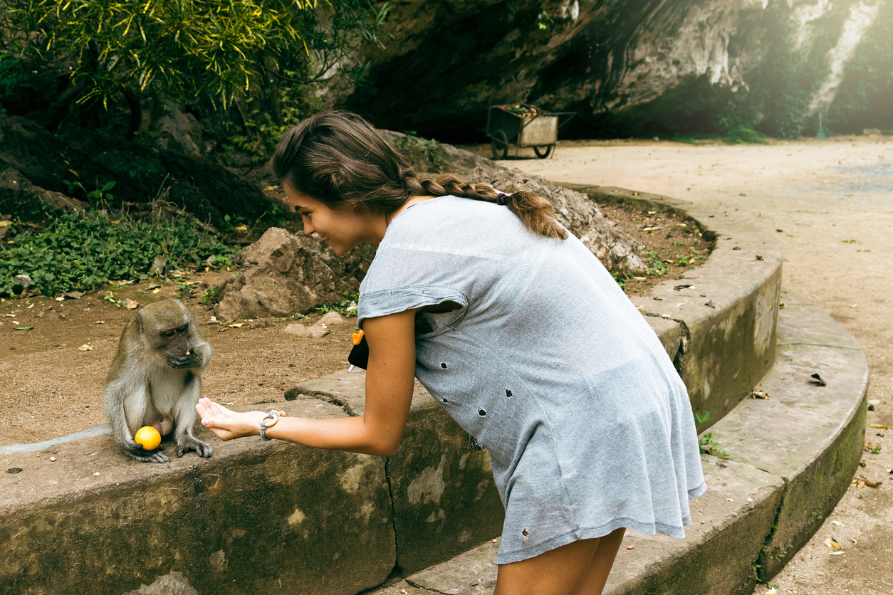 femeie care hraneste o maimuta la zoo