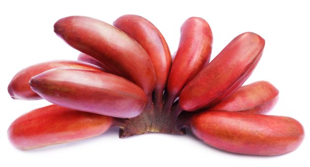 bananele rosii