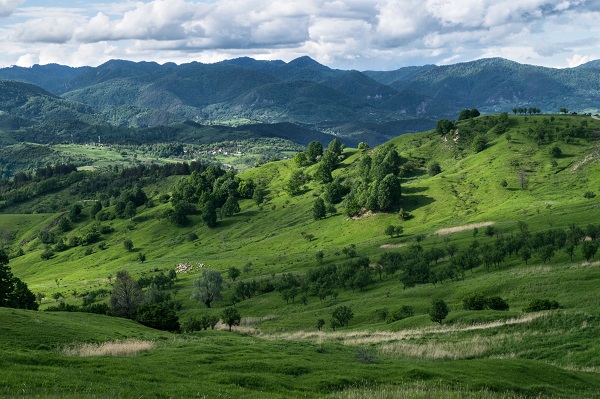 comuna manzalesti buzau panorama