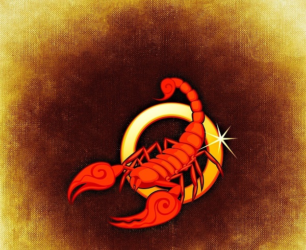 scorpion