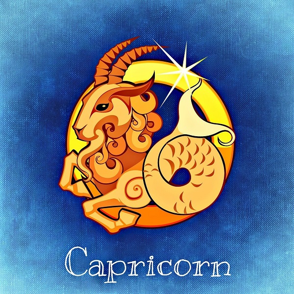 zodia capricorn