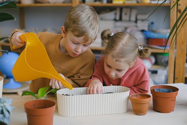 copii toarna apa intr-un ghiveci in care au plantat seminte