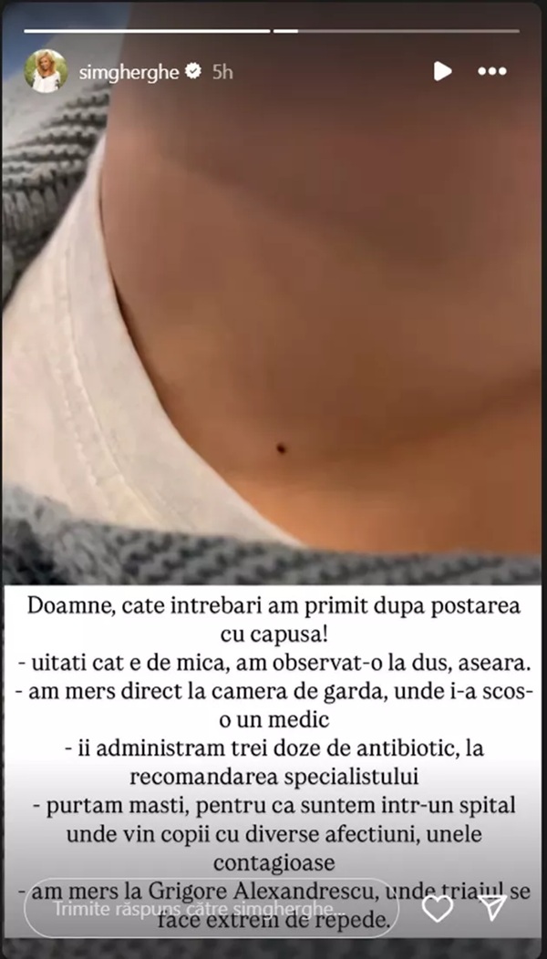 captura insta story cu mesajul simonei gherghe