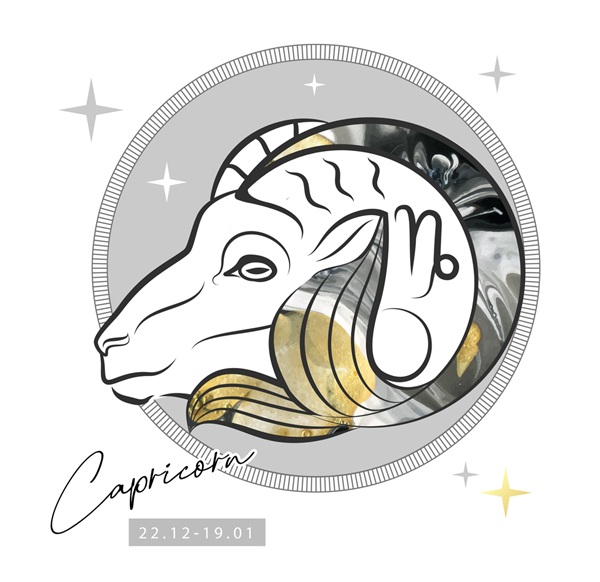 reprezentare grafica a zodiei capricorn