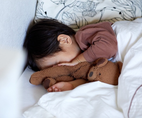 copil tine ursulet in brate