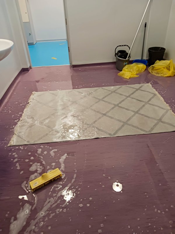 poza cu mai multe instrumente si perii de curatat covoare pe jos