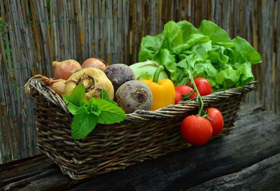 dieta Rina detaliată-vitamine-legume