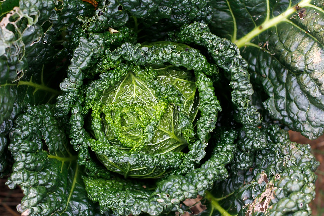 ce-sa-mananc-ca-sa-ia-bebe-in-greutate-kale