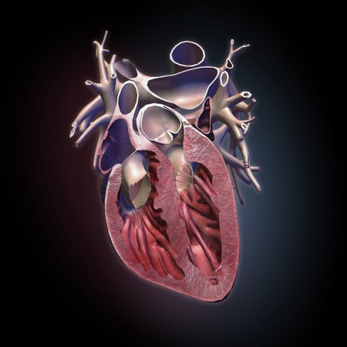 suflu-sistolic-anomalie-la-valve