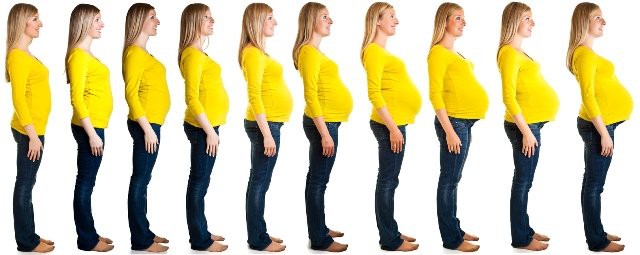 Femeie gravida-evolutie