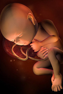 Bebelusul in saptamana 32 de sarcina